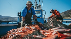 Ue, Alleanza Cooperative: con nuova programmazione a rischio fino al 63% risorse per pesca e acquacoltura